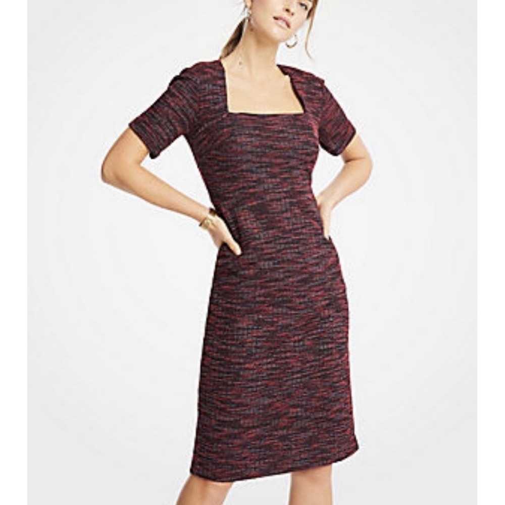 Ann Taylor Red and Black Knit Dress